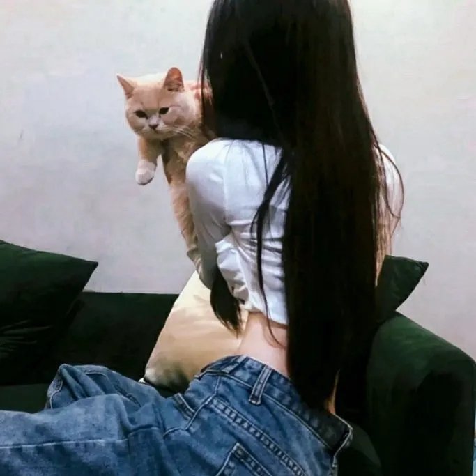 首付